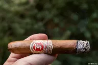 Fonseca Belicosos