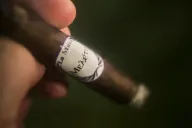 La Musa Μελέτη Μελέτη