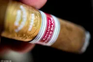 Por Larrañaga Gran Robusto Edición Regional Paises Bajos (2017)