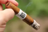 Affinity Corona