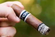 Noxio Robusto