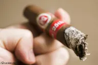 Paul Garmirian 25th Anniversary Connoisseur