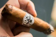 Taíno Toro