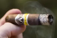 Aladino Maduro