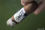 Chogüí Dos77