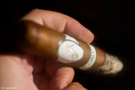 Davidoff Oro Blanco