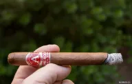 Aladino Cameroon Lonsdale