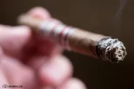 Recluse Amadeus Habano Reserva Lancero