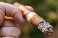 H. Upmann Hispaniola by Jose Mendez