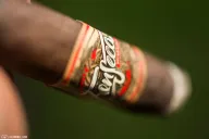Fonseca Nicaragua