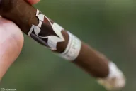 Murcielago Lancero