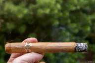 Sobremesa Brûlée Double Corona