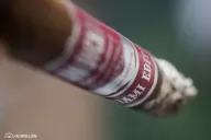 Sindicato Miami Edition 2015