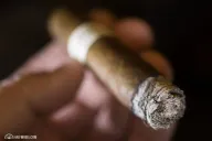Wunder|Lust Robusto