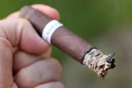 Bold by Nish Patel Robusto