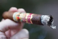 San Cristóbal de La Habana Ovation Decadence (2016)
