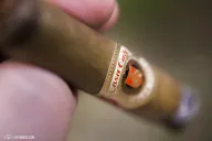 Casa Cuba Divine Inspiration
