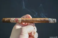 Flor de las Antillas Lancero (2018)