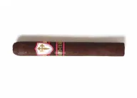 All Saints St. Francis Oscuro