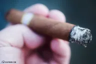 Buenaventura NACS 5