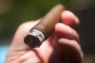 Wynwood Cigars The 15th And The First