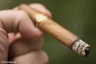 Illusione Fume D’Amour Juniperos