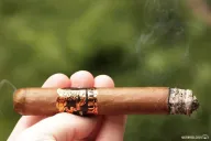 Kuuts Nicaraguan Blend Toro