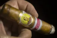 Bolivar Tesoro Edición Regional Alemania (2016)