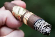 Brick House Maduro Short Torpedo