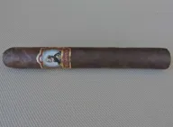 Foundation Tabernacle Havana Seed CT No. 142