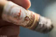 La Galera Connecticut Shorts