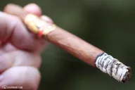 Cesar Habano