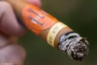 The T. Connecticut Double Robusto