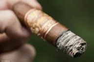 Perez-Carrillo Encore Majestic