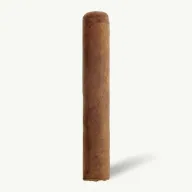 Flor del Sol Robusto