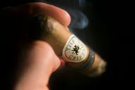 The Griffin's 2013 Casino Special Edition