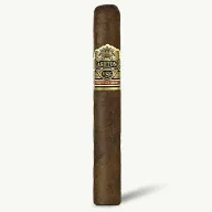 Ashton VSG Robusto Especial