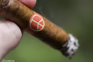 OneOff Corona Gorda