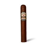 Toreo Nicaragua