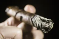 CAO Amazon Anaconda