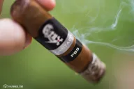 Crux Limitada PB5