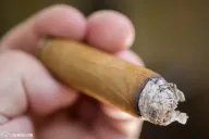 Siempre Tamboril Robusto