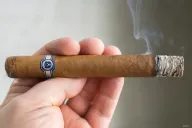El Oso Blanco