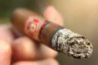 Arturo Fuente Don Carlos Senior Blend