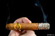 La Colmena Unico Especial (2019)