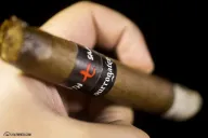 Surrogates 7th Sam