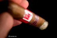 Romeo by Romeo y Julieta Gran Bully Special Edition
