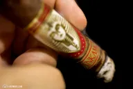 Faraón Tutankamon Toro