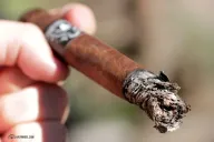 Cigar Federation The Collective