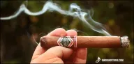 Buena Vista Edición Limitada